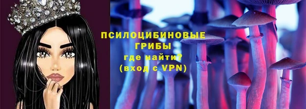 ГАЛЛЮЦИНОГЕННЫЕ ГРИБЫ Балахна