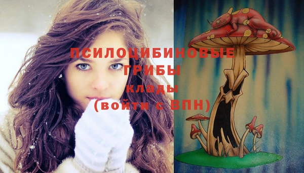 ГАЛЛЮЦИНОГЕННЫЕ ГРИБЫ Балахна