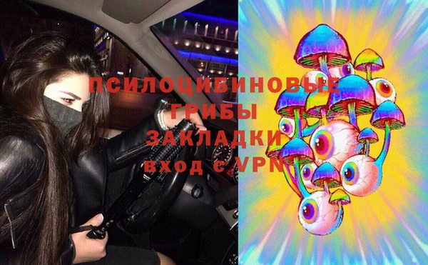 ГАЛЛЮЦИНОГЕННЫЕ ГРИБЫ Балахна